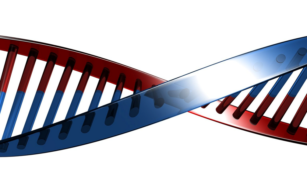 DNA image